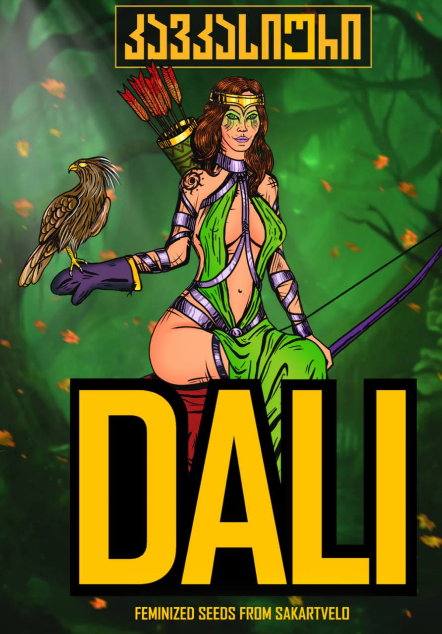 👑 Dalli 👑 Feminis 